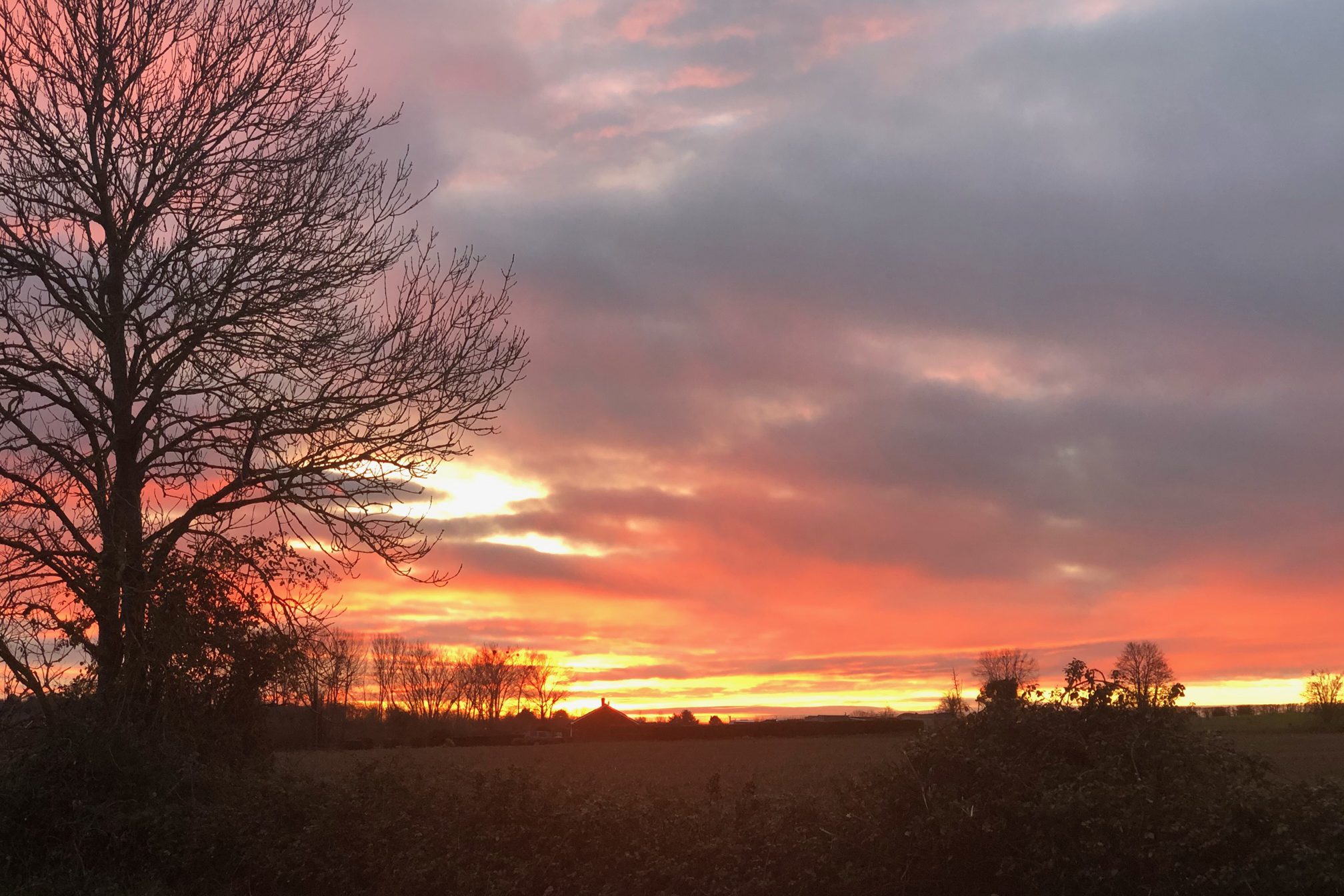 View of Silsoe village