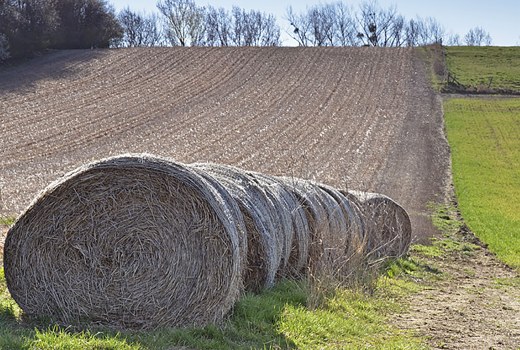 Countryside track near Silsoe