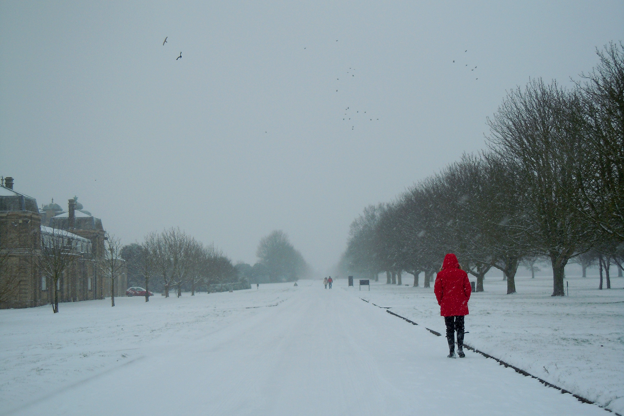 Walking path in the snow
