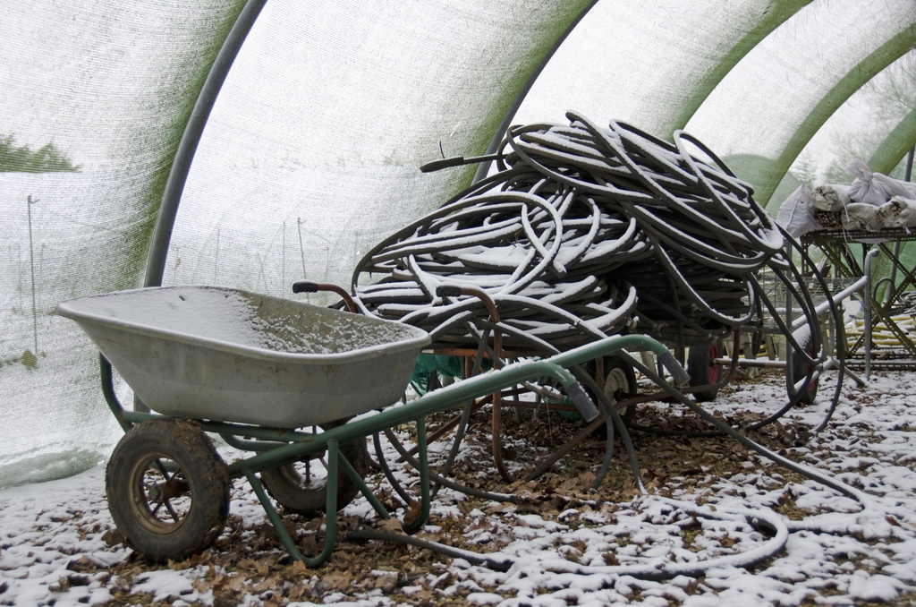 Polytunnel covered in snow