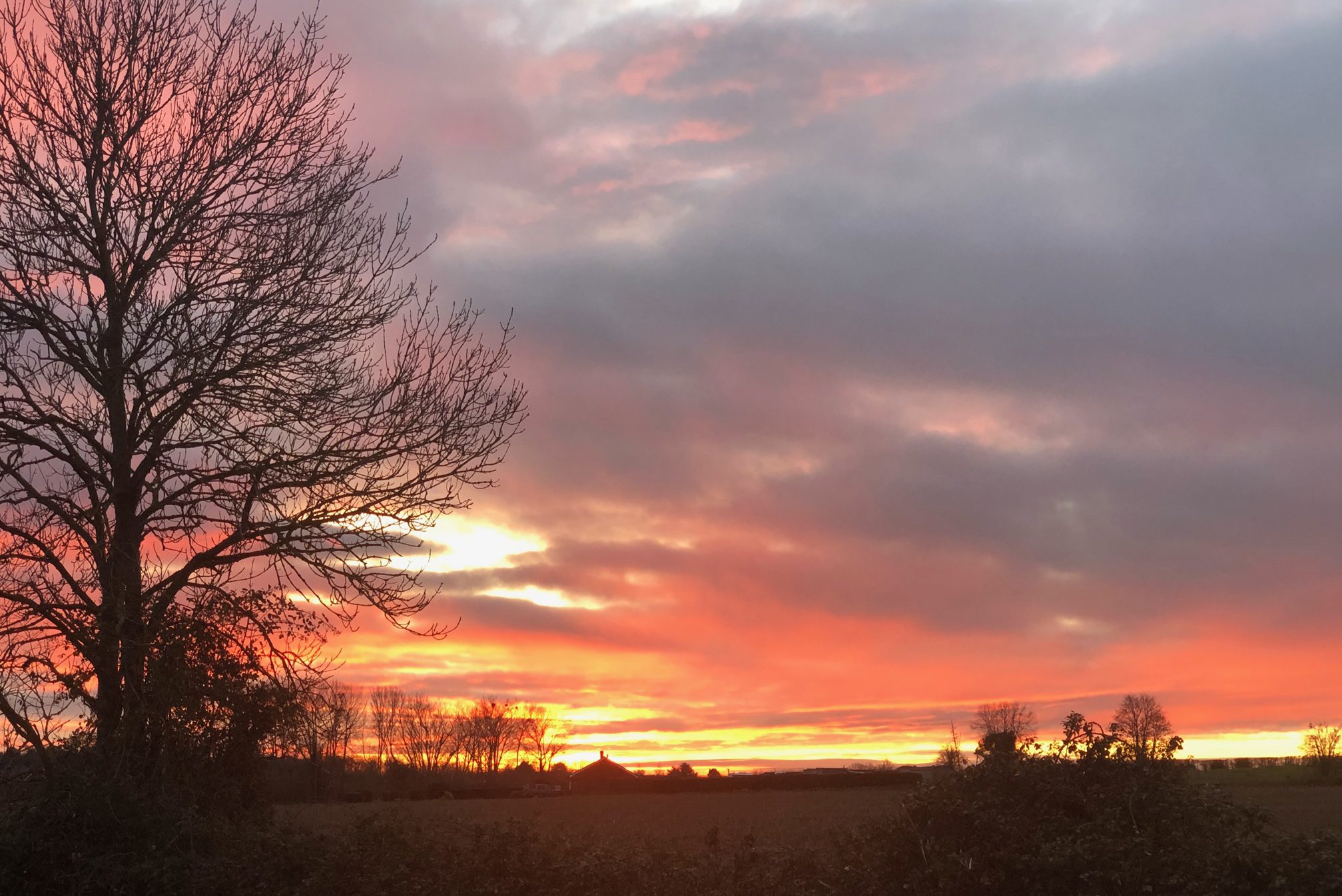 Scene from around Silsoe village