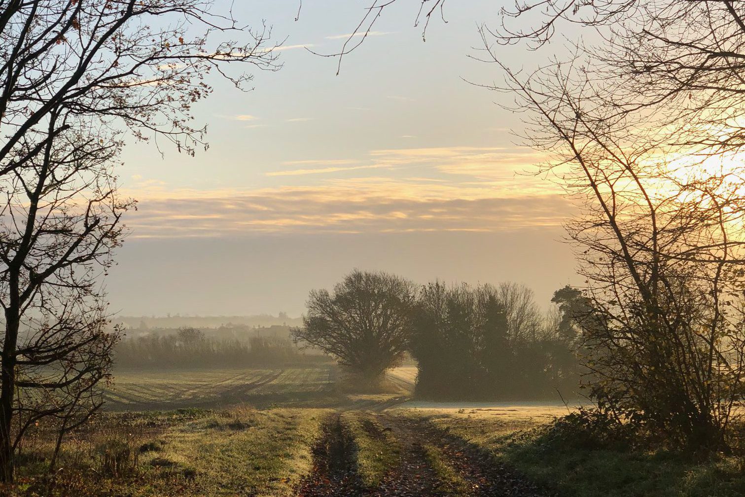 Scene from around Silsoe village